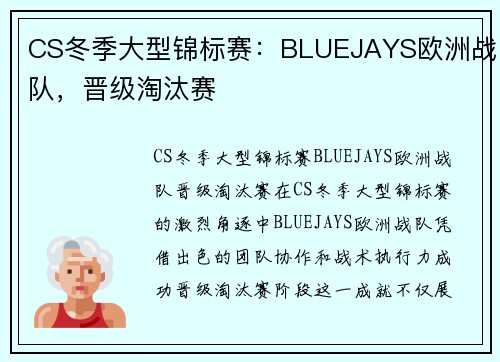 CS冬季大型锦标赛：BLUEJAYS欧洲战队，晋级淘汰赛