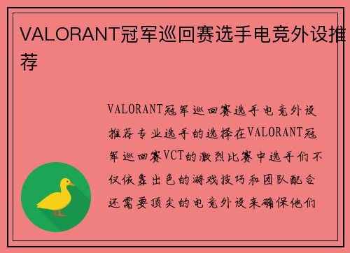 VALORANT冠军巡回赛选手电竞外设推荐