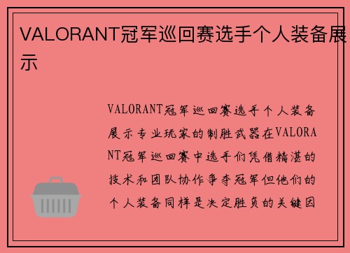 VALORANT冠军巡回赛选手个人装备展示