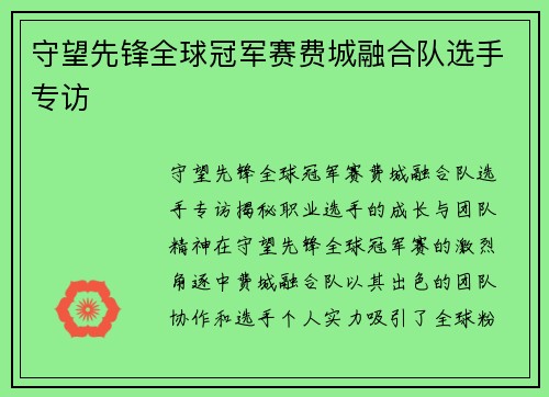 守望先锋全球冠军赛费城融合队选手专访