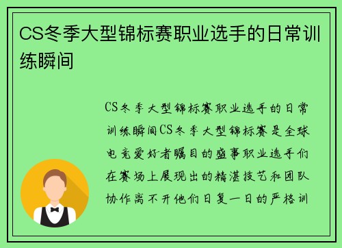 CS冬季大型锦标赛职业选手的日常训练瞬间